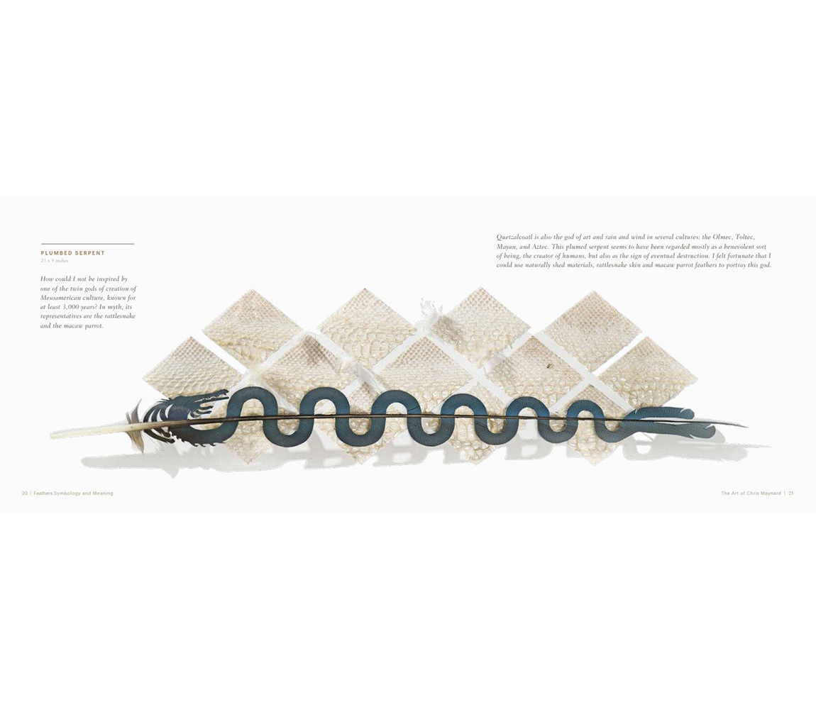 Feathers: Symbology and Meaning book - Chris Maynard